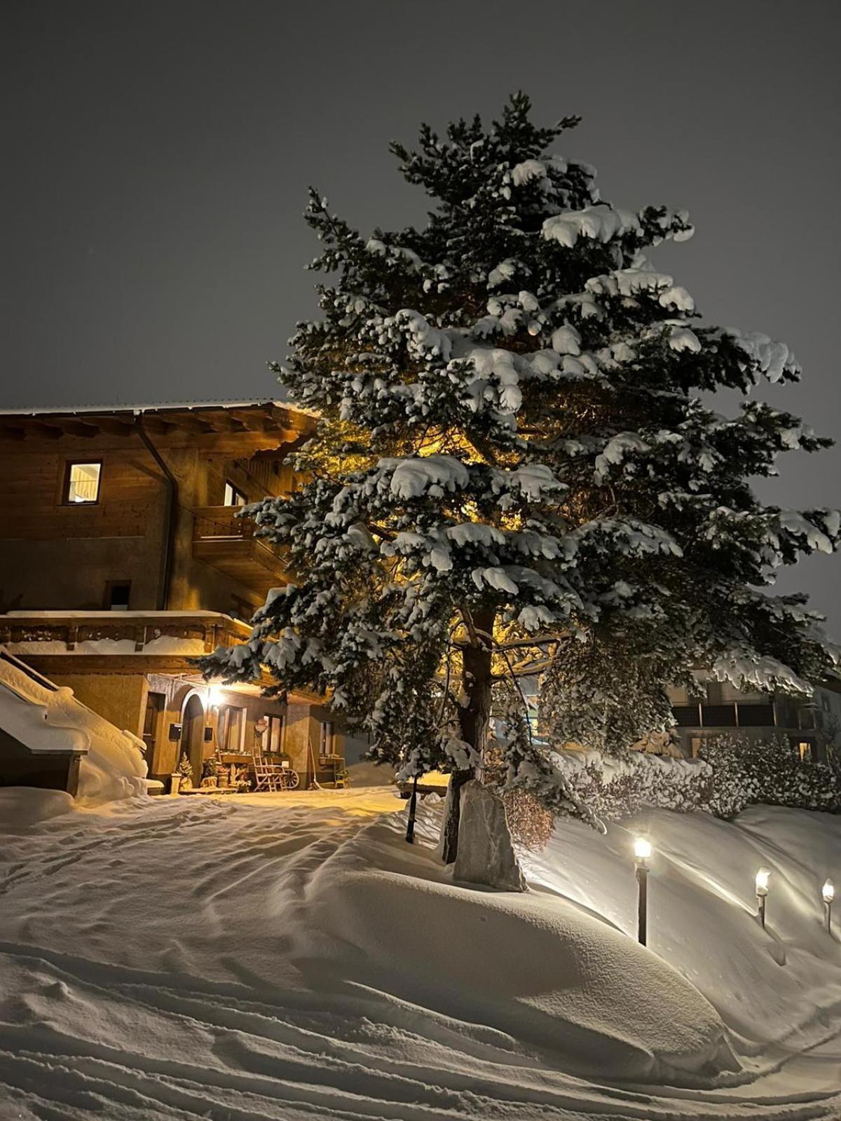 Apartment Alpenperle ชลัดมิง ภายนอก รูปภาพ